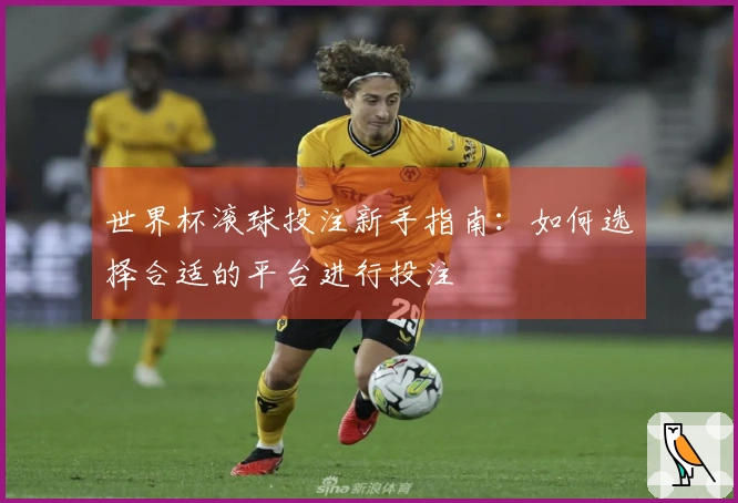世界杯滚球投注新手指南：如何选择合适的平台进行投注