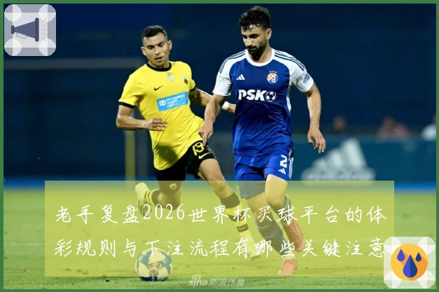 老手复盘2026世界杯买球平台的体彩规则与下注流程有哪些关键注意事项